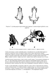  Page30 (494x700, 152Kb)