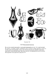  Page249 (494x700, 118Kb)