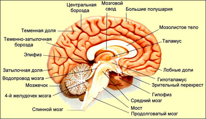 3925311_postykivanie_1 (700x404, 98Kb)