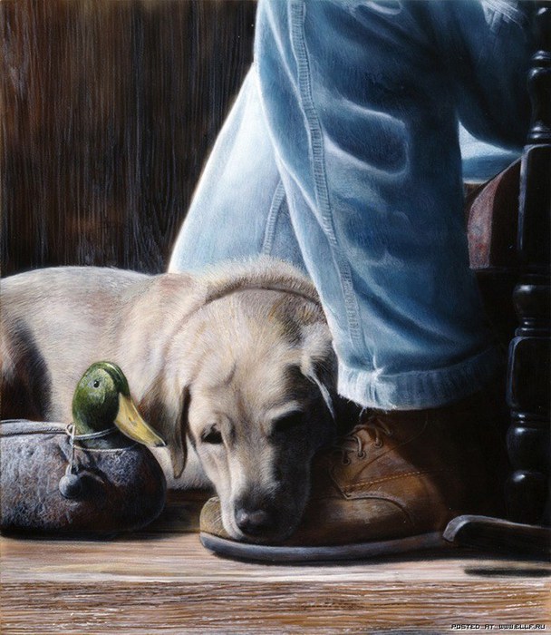 Художник Nigel Hemming (608x700, 107Kb)