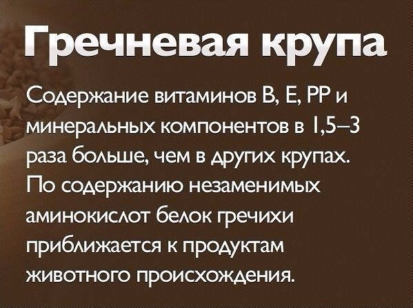 питание 6 раз в день для похудения питание 6 раз в день для похудения