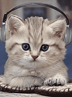 www.radionetplus.ru 22 (240x320, 173Kb)