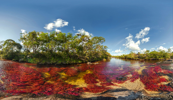 cano-cristales-colombia (700x403, 415Kb)