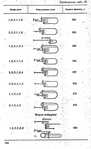  Shershneva_L_P_Rogova_A_P_Proektirovanie_i_proi-109 (426x700, 180Kb)