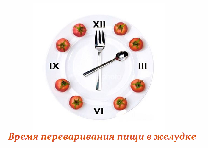 2749438_Vremya_perevarivaniya_pishi_v_jelydke (700x497, 163Kb)