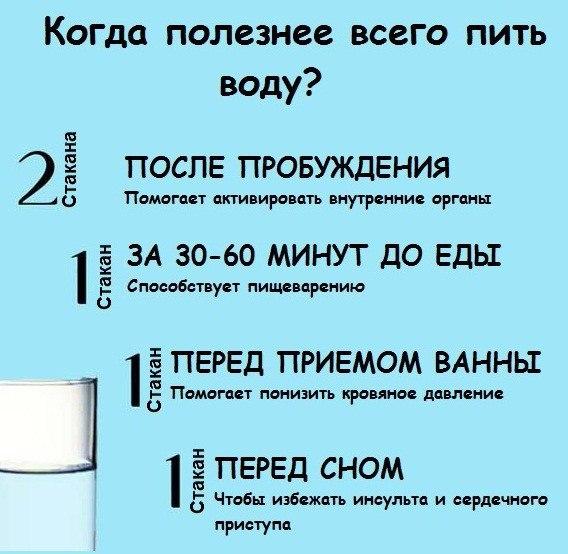 5463572_11 (568x554, 51Kb)