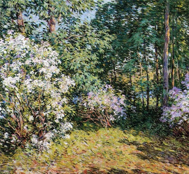 Laurel Woods. 1906 (651x598, 695Kb)