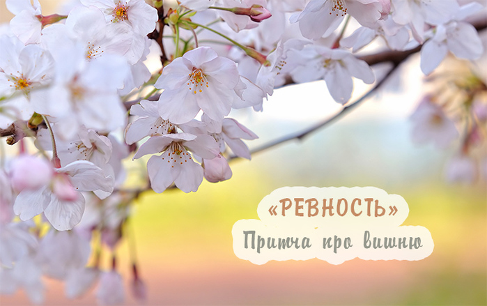 6120542_1484384395_prit (700x439, 150Kb)