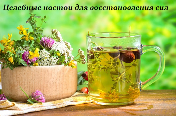 2749438_Celebnie_nastoi_dlya_vosstanovleniya_sil (700x461, 551Kb)