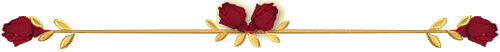 0_6d4f1_cd66eb3e_L (500x52, 8Kb)