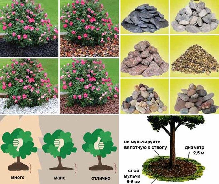 Мульчирование камнем - эффектный ландшафтный дизайн, который преобразует ваш сад!