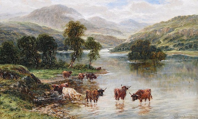 Cattle in the shallows at Loch Katrine Signed (645x390, 341Kb)