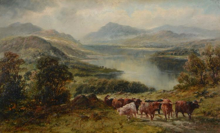 Highland cattle (700x424, 302Kb)