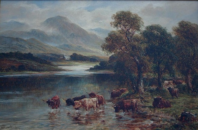 HIGHLAND CATTLE IN A RIVER (656x433, 324Kb)