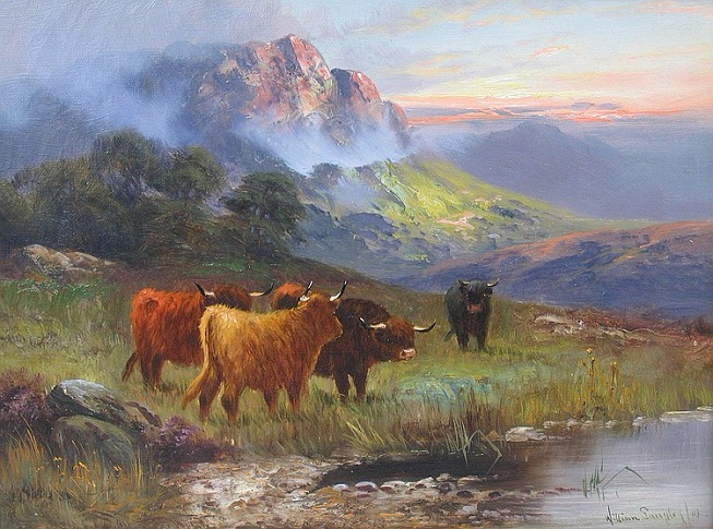 Highland cattle watering, mountains in the distance (653x485, 399Kb)