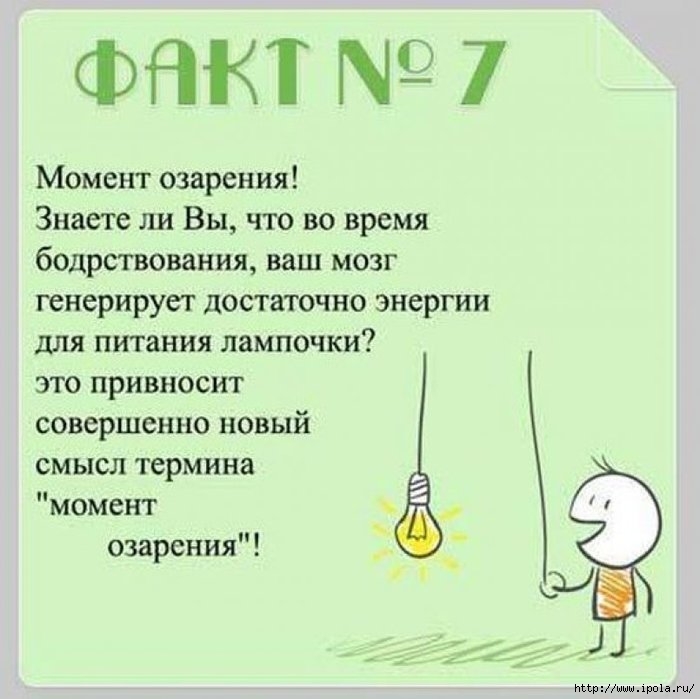 Загадки мозга человека презентация