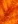 5177462_Image_20 (18x24, 1Kb)