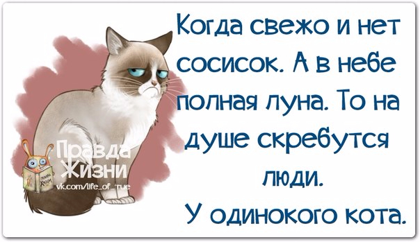 1399864228_frazochki-1 (604x349, 183Kb)