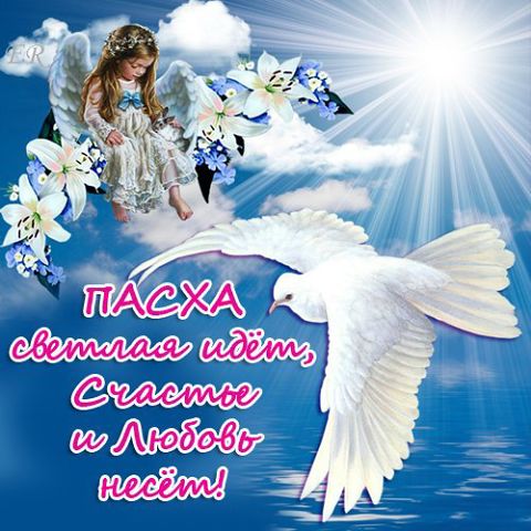 3768849_Pasha_nast_id (480x480, 52Kb)