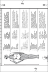  Page19 (463x700, 166Kb)