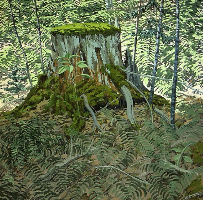 Stump And Ferns. (655x647, 693Kb)