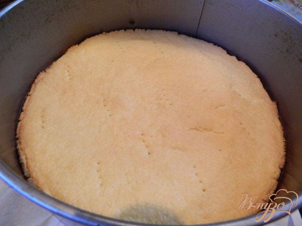 Рецепт йогуртового торта с киви (9) (620x465, 203Kb)