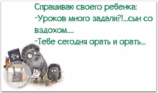1443460912_frazki-10 (604x356, 136Kb)