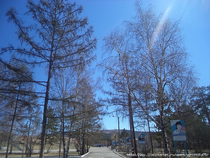 DSC00173 (700x525, 423Kb)