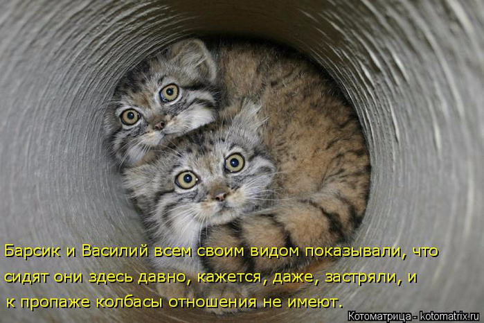 2015 год 4 ноября праздник