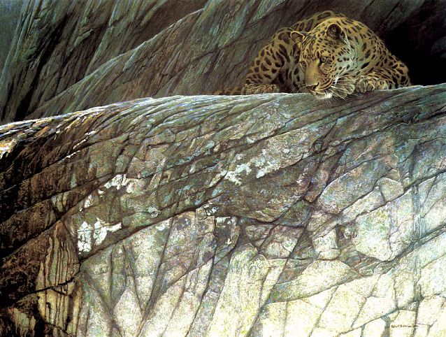 Robert-Bateman.-Animalisticheskaya-zhivopis.-Leopard (638x482, 433Kb)