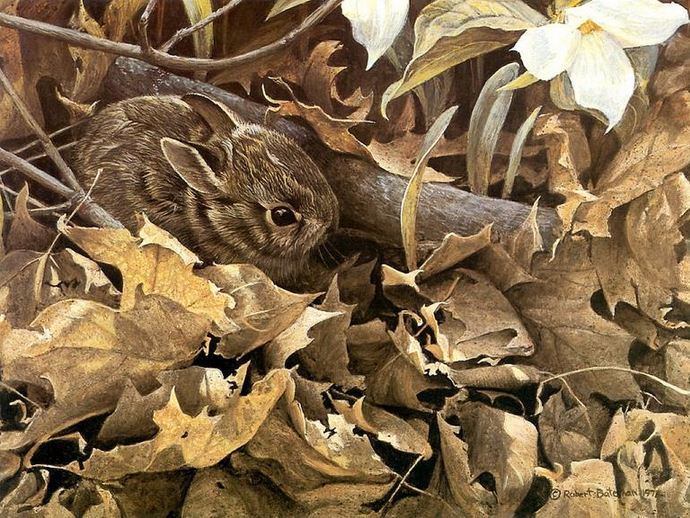 Robert-Bateman-Samaya-luchshaya-animalisticheskaya-zhivopis (1) (690x518, 450Kb)