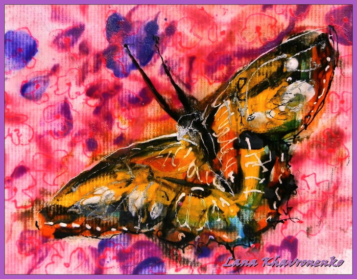 butterfly_by_loretana-d7mwt2n (700x546, 535Kb)