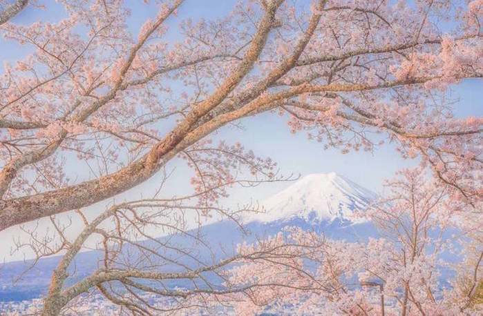 3085196_takashikomatsubarajapanphotography2 (700x458, 67Kb)