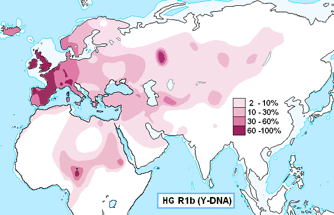 Haplogroup_R1b_(Y-DNA) (687x443, 25Kb)