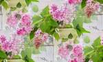  lilac-foliage-branches-listya (700x420, 355Kb)
