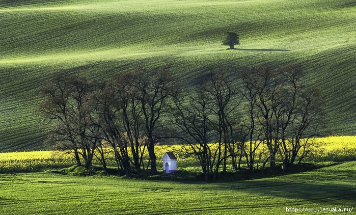 South-Moravian-Region-26-16 (700x422, 354Kb)