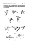  Page29 (469x700, 104Kb)