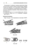  Page116 (469x700, 159Kb)