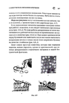  Page267 (469x700, 182Kb)