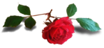 135696245_preview_40 (149x69, 14Kb)