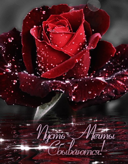 0_1c3dd1_ea00723c_orig (548x700, 5329Kb)