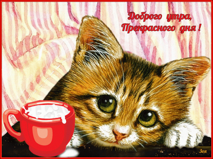 Картинки прекрасного утра и дня