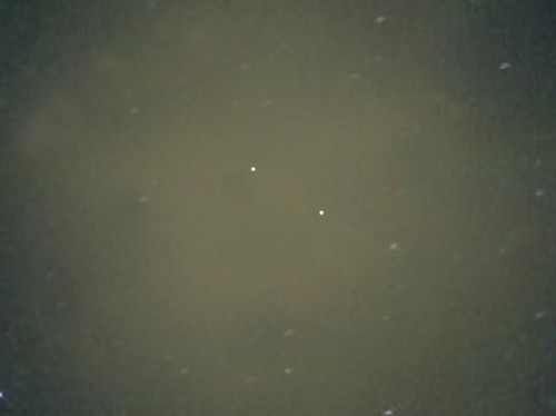 s10282179 (500x374, 17Kb)