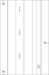  Page9 (463x700, 30Kb)