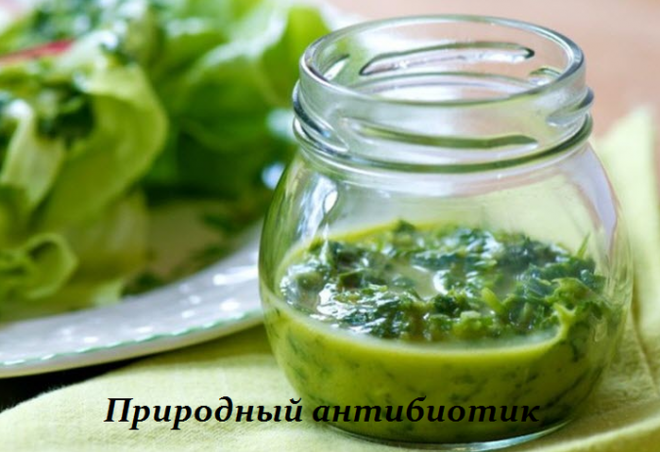 2749438_Lechim_pochki_i_mochevoi_pyzir_narodnim_sredstvom (660x452, 434Kb)