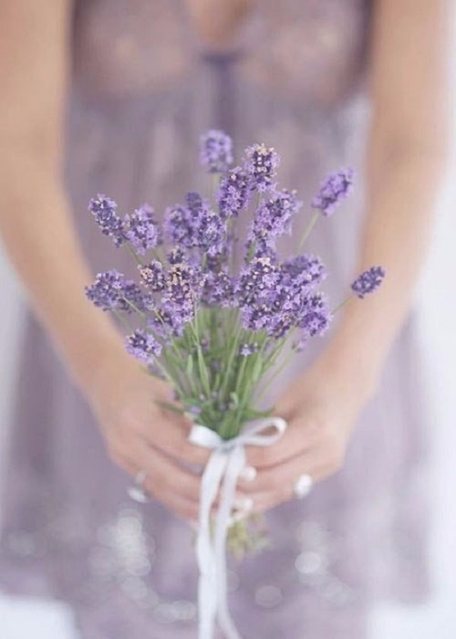 image (4) (500x700, 225Kb)