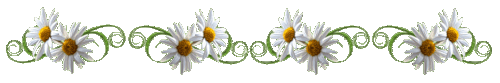 135349600_22463236 (500x83, 33Kb)