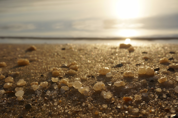 DSC07995 (700x465, 374Kb)