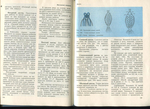  page_60 (700x508, 378Kb)