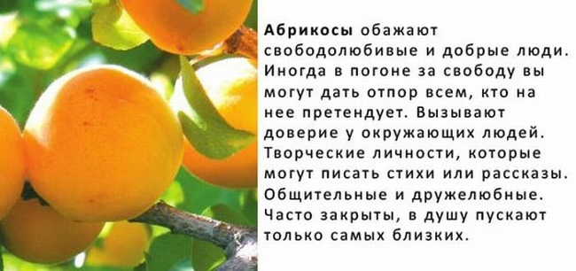 фрукты и характер 14 (650x306, 174Kb)